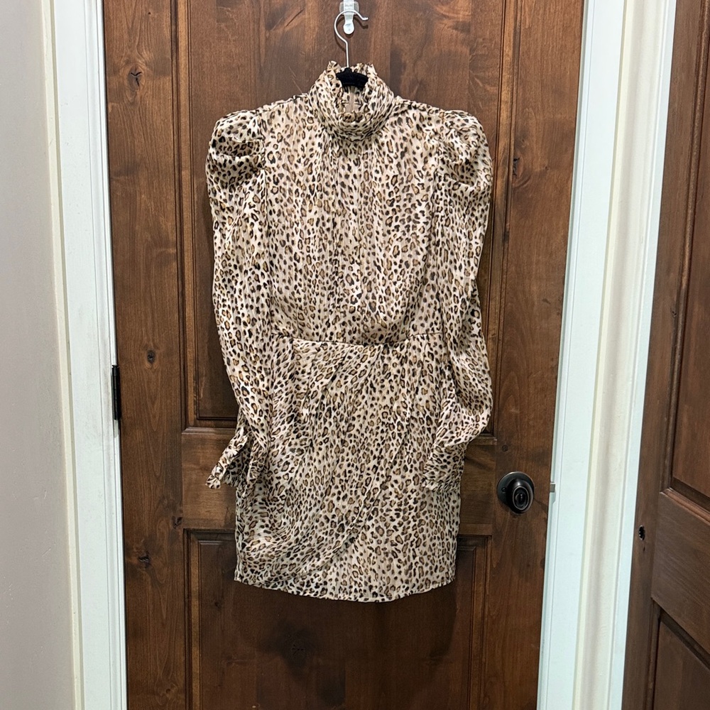 Aqua Leopard Print Long Sleeve Dress